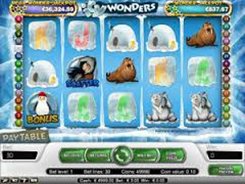 Icy Wonders slots